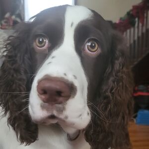 Meet your Posher, Kathleen